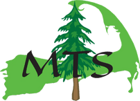 McCabe Tree Service