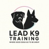 Lead K9 Training