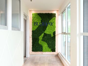 MOSS WALL BY  WABISABI-SPACES INTERIOR DESIGN STUDIO