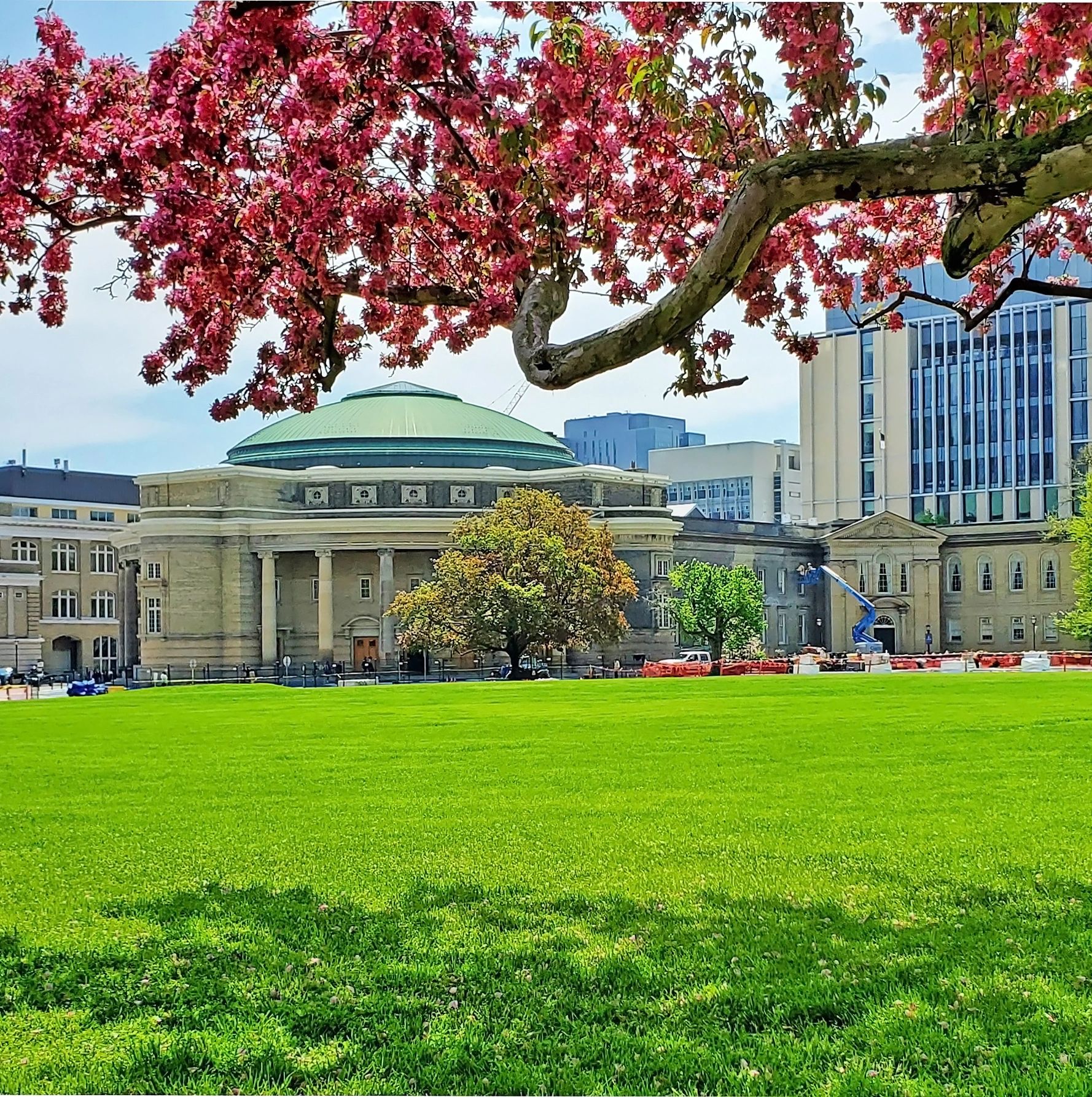 University of Toronto during Blossom Season in Toronto, Canada.