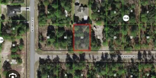 Aerial view of a forested residential area with a marked rectangular plot.