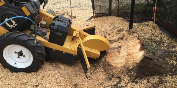 Exeter Tree Felling. Exeter Stump Grinding. Exeter Stump Removal. Exeter Tree and Garden Care. 