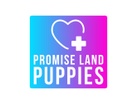 Promise Land Puppies
