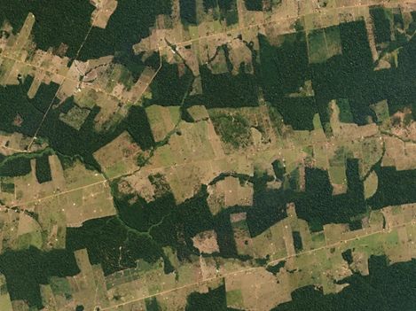 Forest fragmentation is occurring in the Amazon Rainforest.