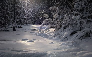 winter, creek, light