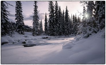 winter, snow, creek