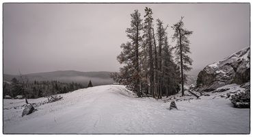 winter, trees, rocks