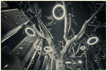 Walking the streets of Shanghai.