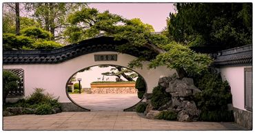 Shanghai Botanical Gardens. Banzai Garden.