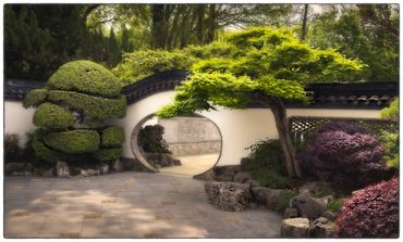 Shanghai Botanical Gardens. Banzai Garden.