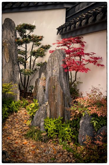 Shanghai Botanical Gardens. Banzai Garden.