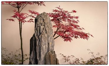 Shanghai Botanical Gardens. Banzai Garden.