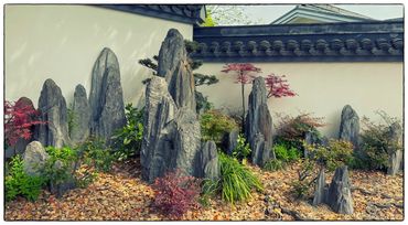Shanghai Botanical Gardens. Banzai Garden.