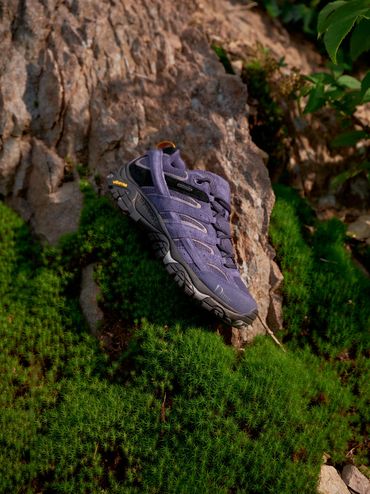 Purple hiking shoe on moss-covered rock in natural setting.