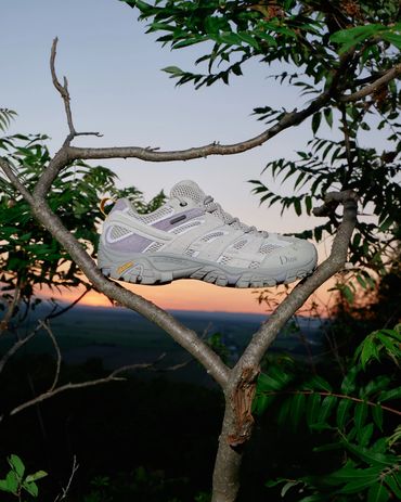 A sneaker resting on a tree branch shaped like a heart at sunset.