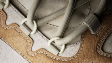 Close-up of a shoe with detailed stitching and laces.