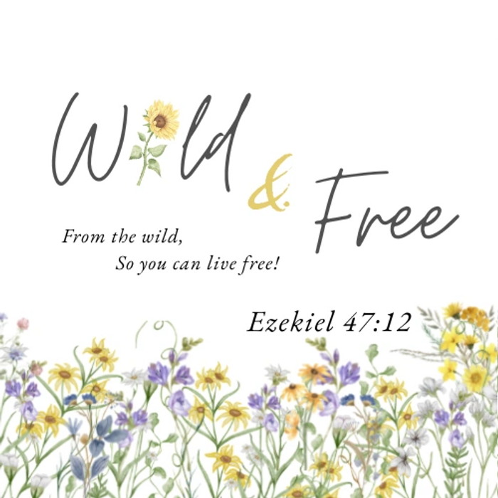 Inspirational quote with wildflowers and a sunflower illustration.