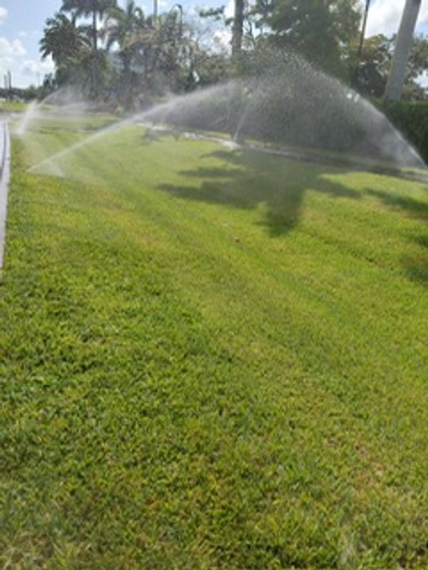 Sprinklers watering a lush green lawn under a sunny sky.