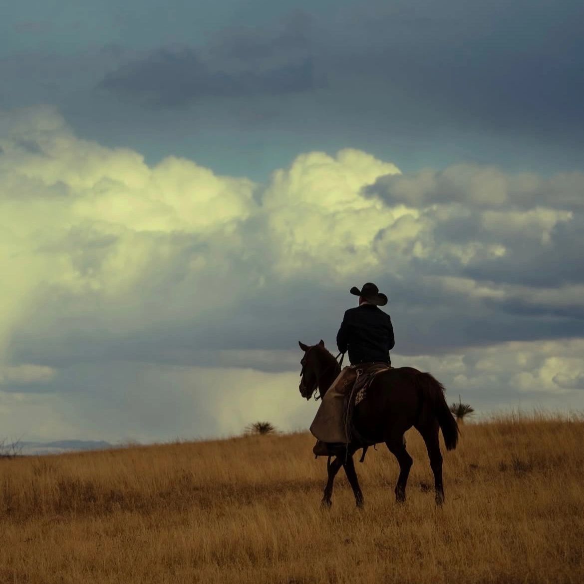 Cowboy riding a horse through a golden field under a cloudy sky.