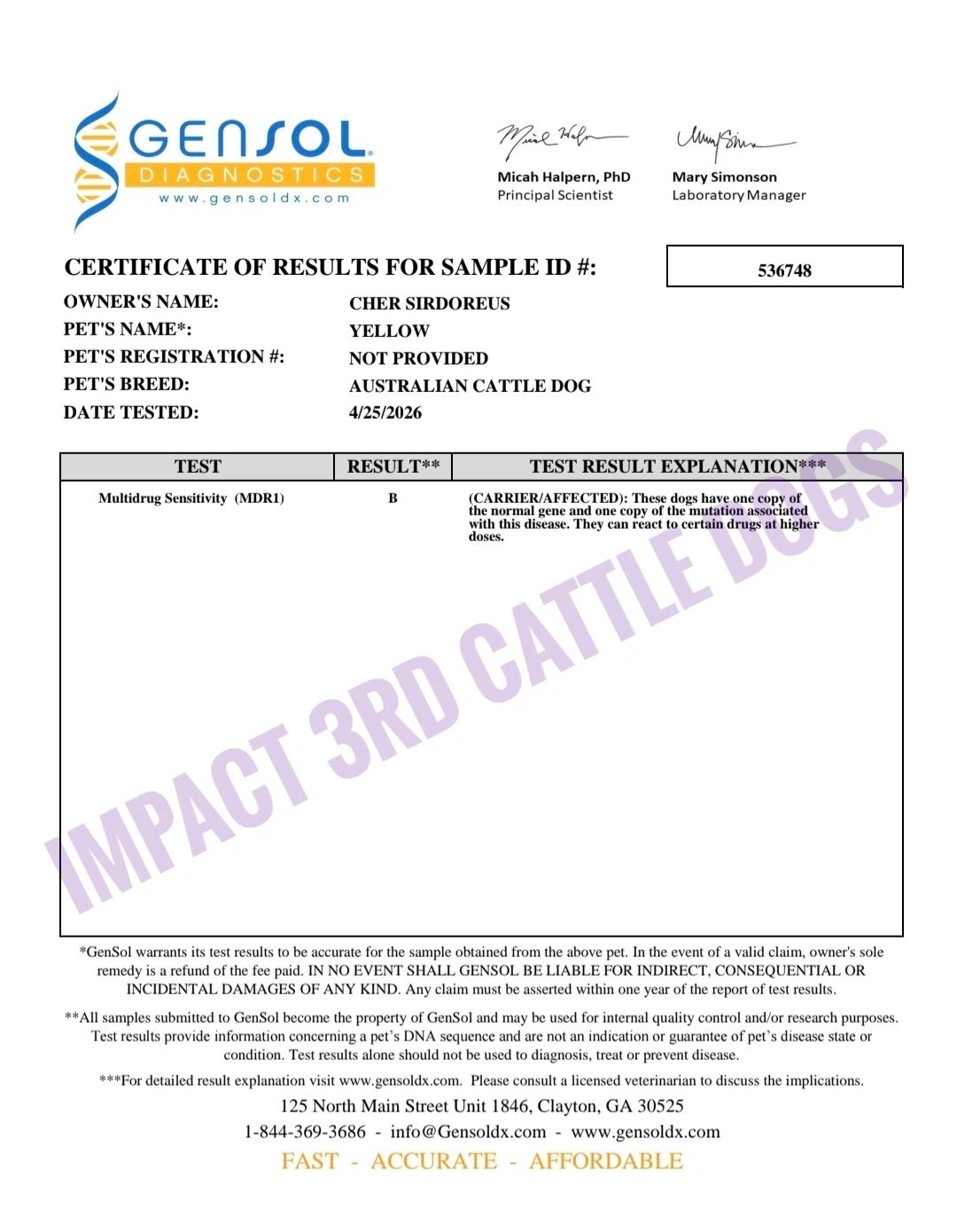Certificate of genetic test results for an Australian Cattle Dog named Yellow.