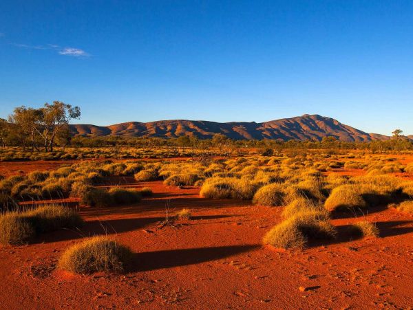 Red desert with grass clumps and distant mountain under blue sky.