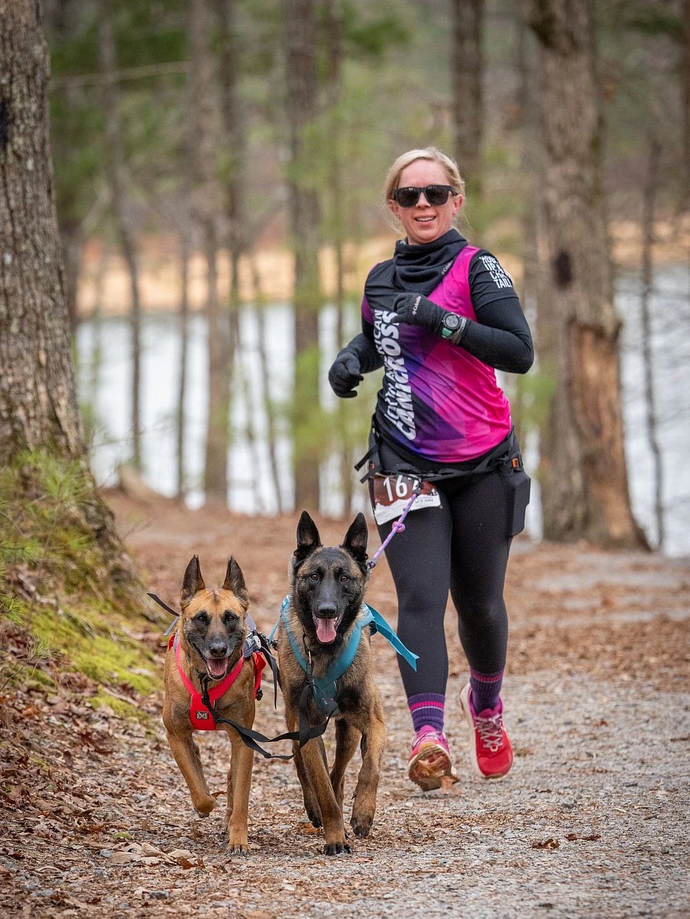Canicross runner racing with two dogs in pulling harnesses on a forest trail.