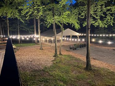 An open space decorated
