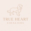 True Heart Cavaliers
