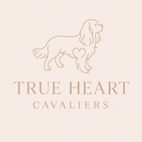 True Heart Cavaliers