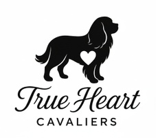 True Heart Cavaliers