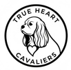 True Heart Cavaliers