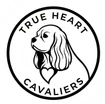 True Heart Cavaliers