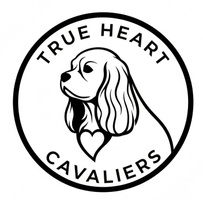 True Heart Cavaliers