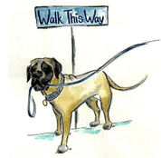 Walk This Way Pet Services