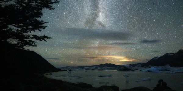 Stars in the night sky, courtesy of Natasha Chow