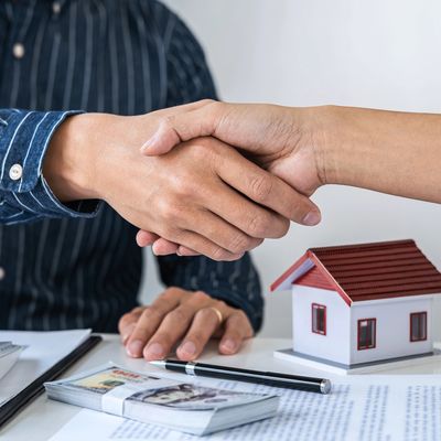 A consultant giving shake hand to the customer