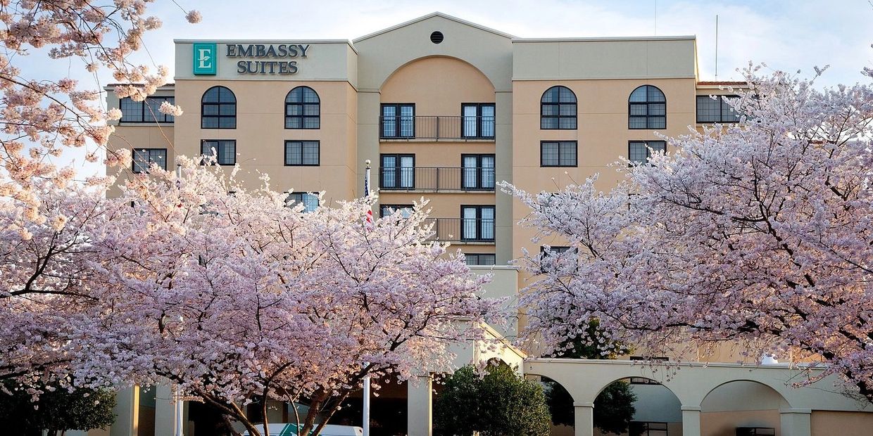 Embassy Suites hotel behind blooming pink cherry blossom trees on a clear day.