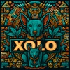 Xolo  