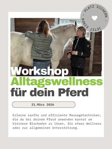 DIPO Deutsches institut für Pferdeosteopathie Pferdephysiotherapie NRW Düsseldorf Niederrhein Hessen
