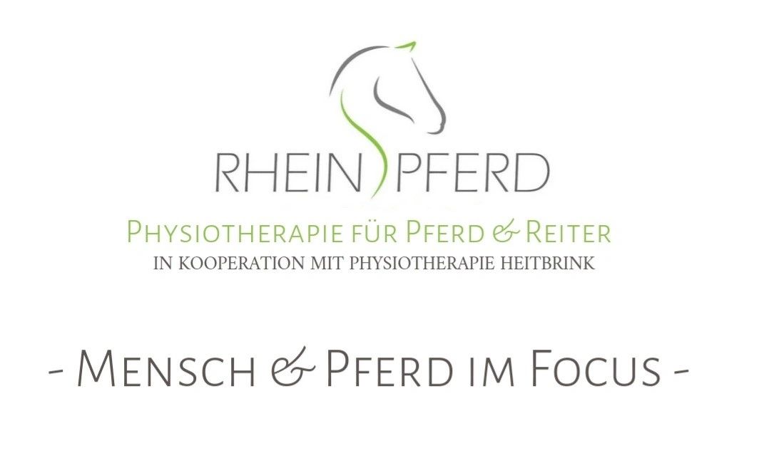 Rheinpferd Düsseldorf Ratingen Pferdephysiotherapie Ostheopathie Pferde Reiten Sarah Llopis Equi NRW