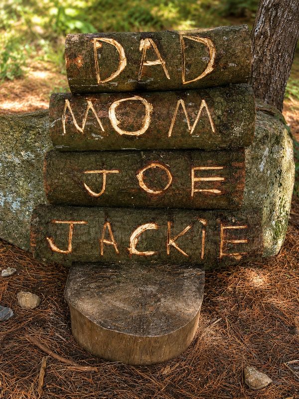 Names carved into stacked logs outdoors.
