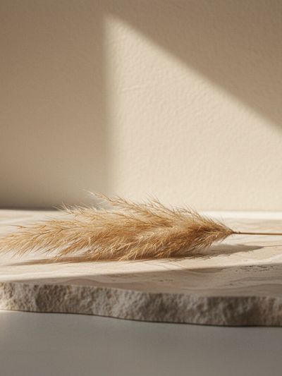 Dried pampas grass on a textured stone slab with soft sunlight.