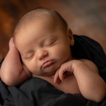 Click the image to view Newborn Gallery.