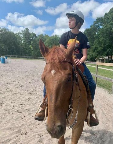 Beckham having a lesson on Rooster