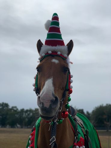 Ole Zip getting ready for the Christmas parade 2020 (RIP)