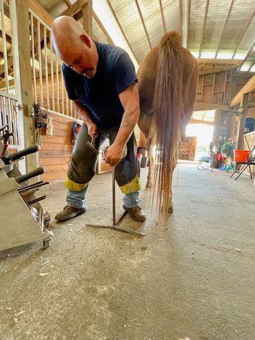 Mr. Larry, our go to farrier for all our horse hoof care needs