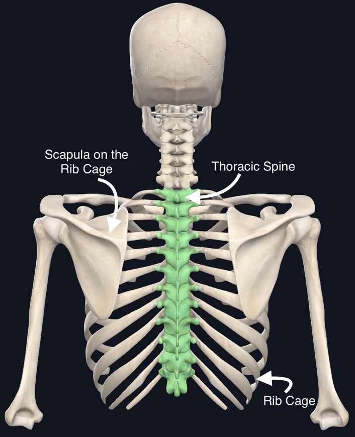 Easy Ways to Increase Thoracic Spine (Mid-Back) Mobility