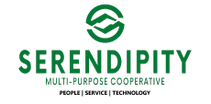 Serendipity Solutions