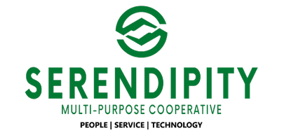 Serendipity Solutions