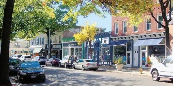 A sunny street with parked cars and shops under green trees.